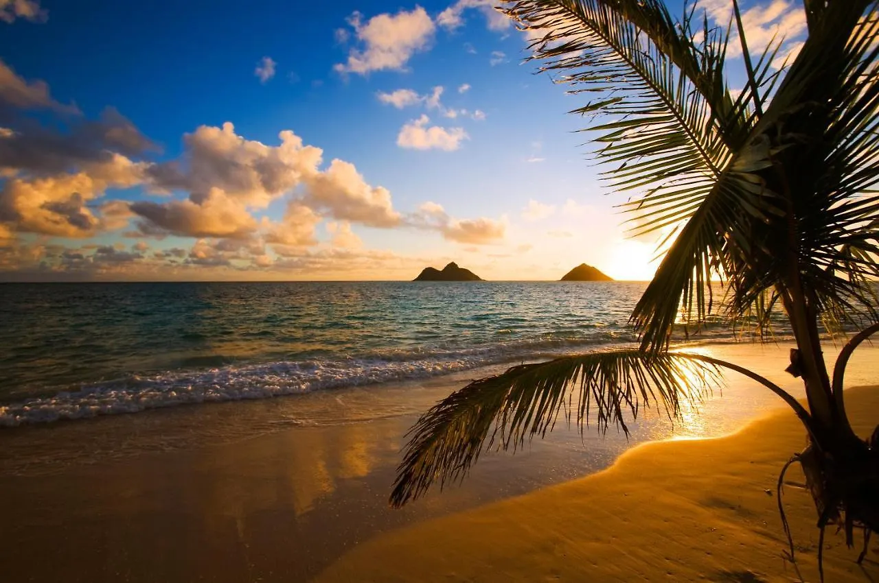 Apartmán Fabulous Ocean & Diamond Head View With Free Parking! Honolulu 0*,  USA